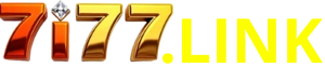 7i77-logo